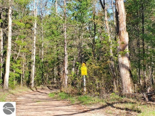 4022 Chippewa Trail, Hale, MI 48739