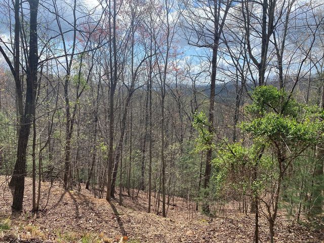 Lot 62 Jitterbug Lane, Murphy, NC 28906