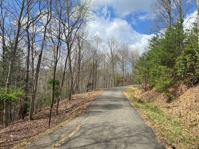 Lot 62 Jitterbug Lane, Murphy, NC 28906
