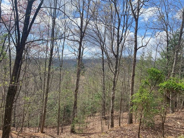 Lot 62 Jitterbug Lane, Murphy, NC 28906