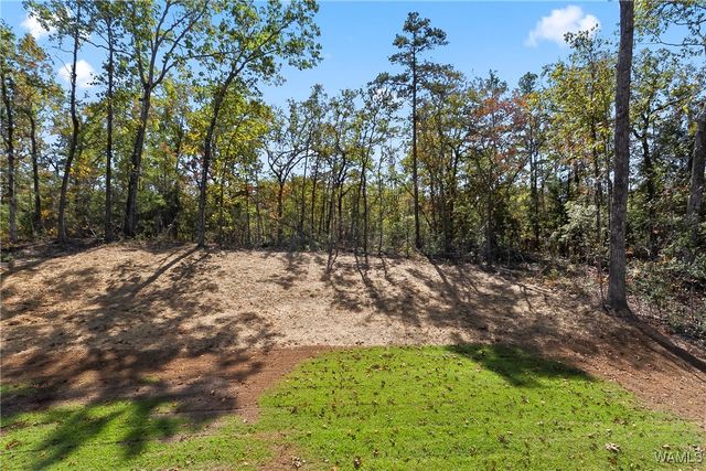 16483 Chase, Ralph, AL 35480