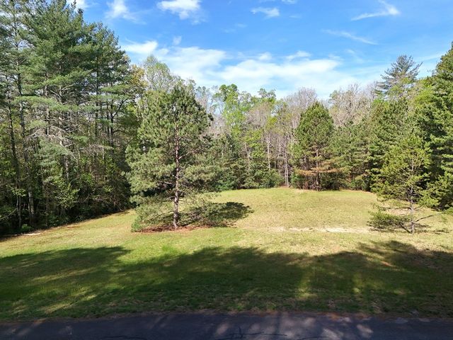Lot 5 Creek Hollow Lane, Blairsville, GA 30512