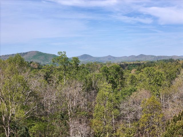 Lot 5 Creek Hollow Lane, Blairsville, GA 30512