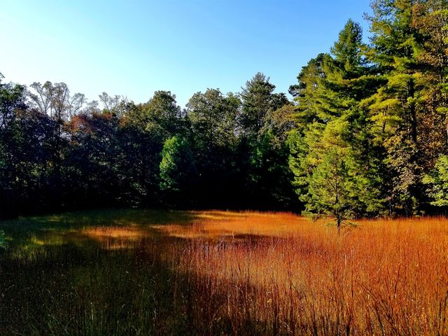 Lot 5 Creek Hollow Lane, Blairsville, GA 30512