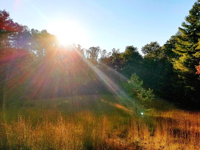 Lot 5 Creek Hollow Lane, Blairsville, GA 30512