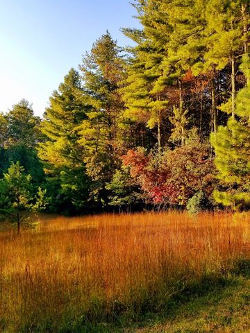 Lot 5 Creek Hollow Lane, Blairsville, GA 30512