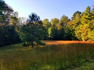 Lot 5 Creek Hollow Lane, Blairsville, GA 30512