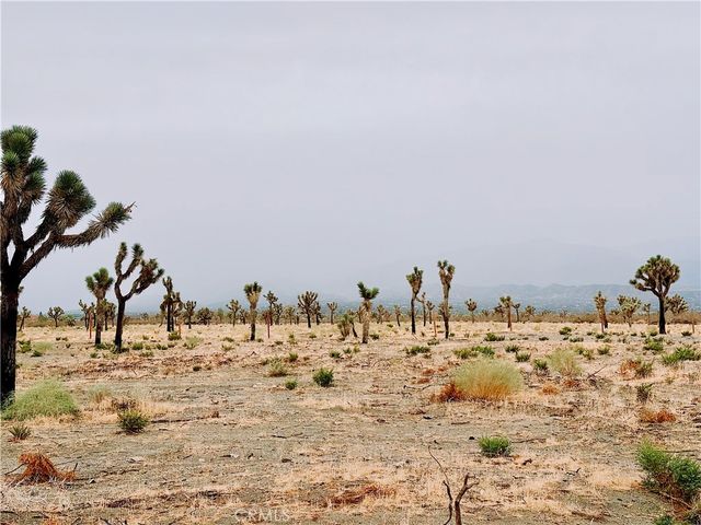 12452 Golden View, Pinon Hills, CA 92372