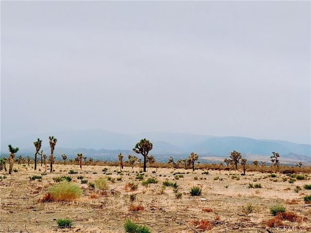 12452 Golden View, Pinon Hills, CA 92372