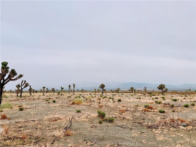 12452 Golden View, Pinon Hills, CA 92372