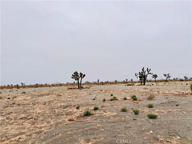 12452 Golden View, Pinon Hills, CA 92372