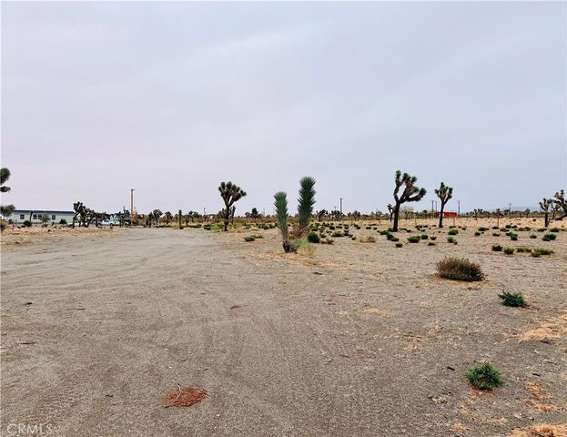 12452 Golden View, Pinon Hills, CA 92372