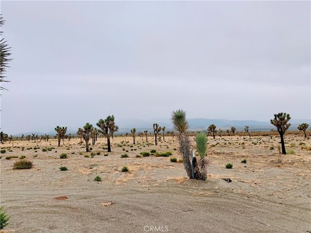 12452 Golden View, Pinon Hills, CA 92372