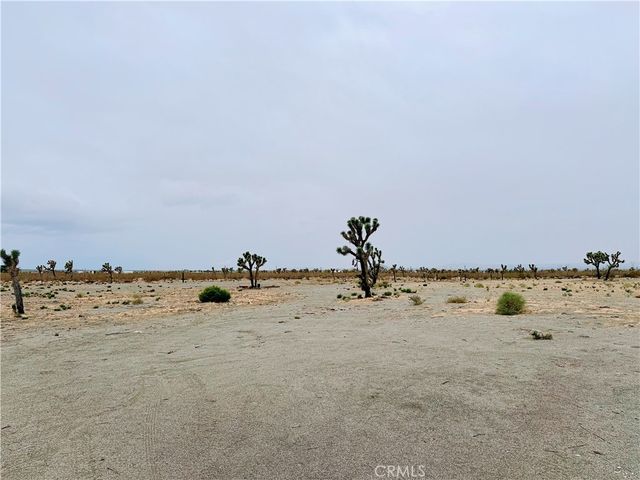 12452 Golden View, Pinon Hills, CA 92372