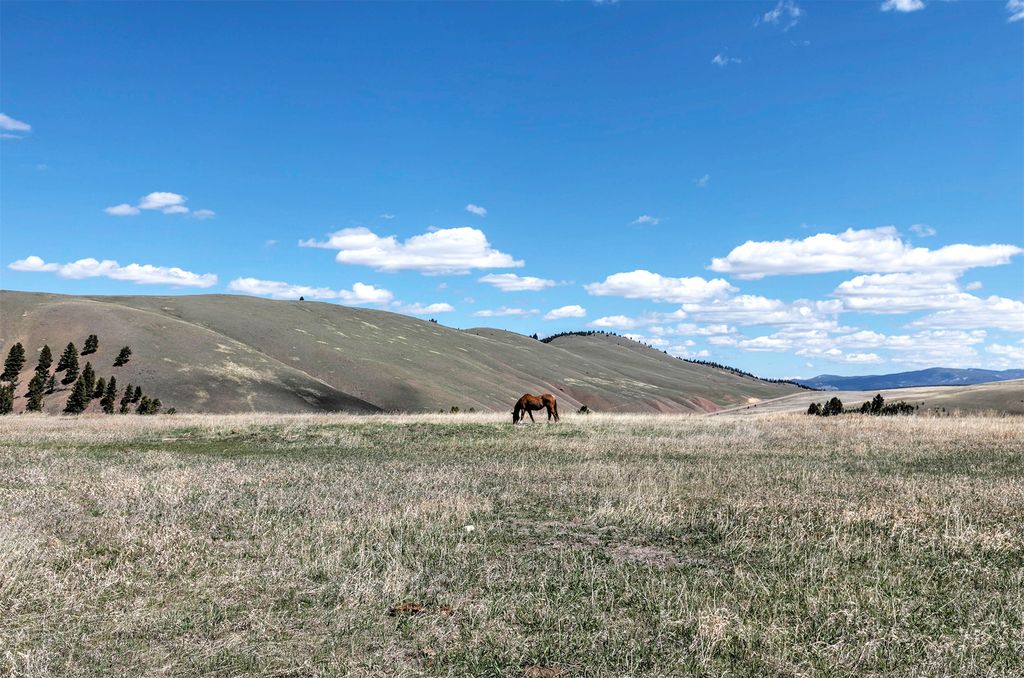 4722 Skalkaho Road, Philipsburg, MT 59858 photo 67