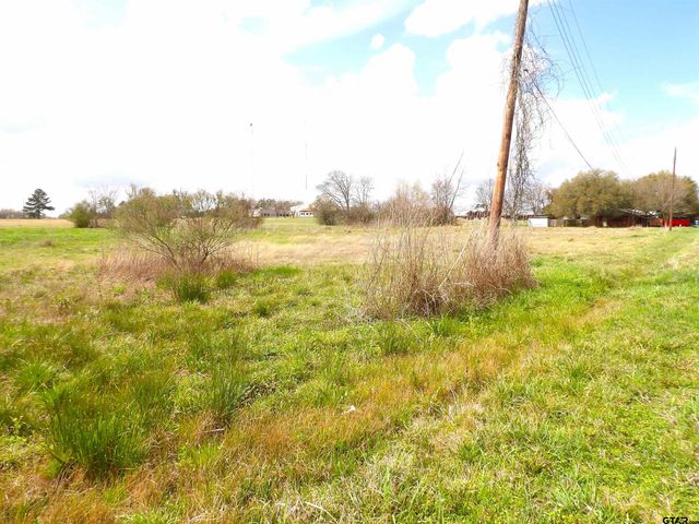 17 LOTS Hooks, Forehand, & McDuff Street, Crockett, TX 75835