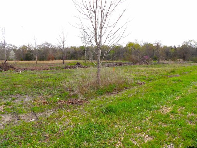 17 LOTS Hooks, Forehand, & McDuff Street, Crockett, TX 75835