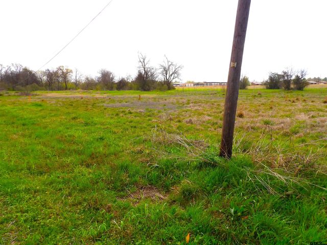 17 LOTS Hooks, Forehand, & McDuff Street, Crockett, TX 75835