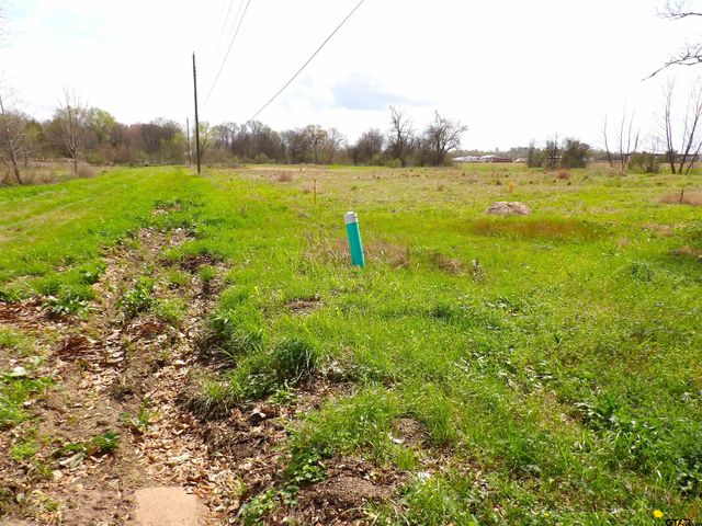 17 LOTS Hooks, Forehand, & McDuff Street, Crockett, TX 75835