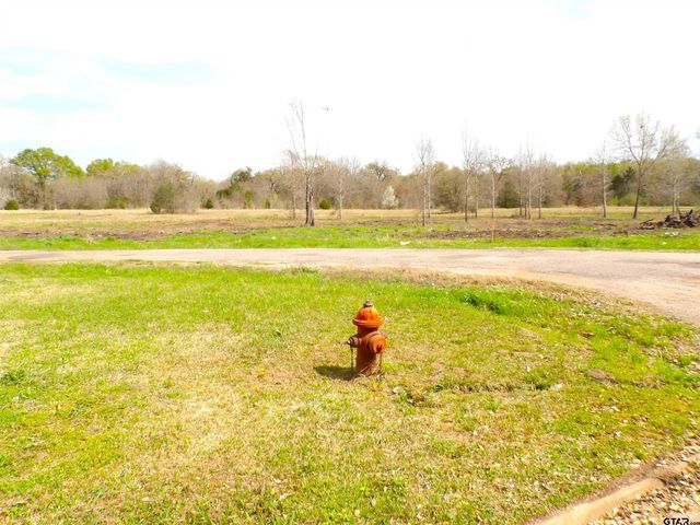 17 LOTS Hooks, Forehand, & McDuff Street, Crockett, TX 75835