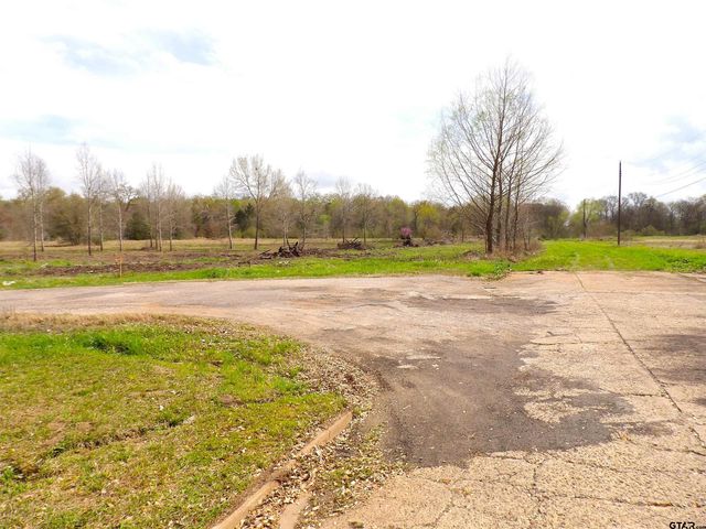 17 LOTS Hooks, Forehand, & McDuff Street, Crockett, TX 75835