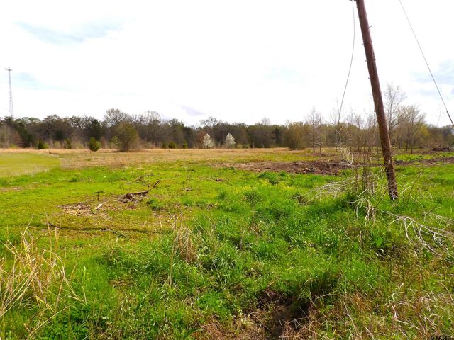 17 LOTS Hooks, Forehand, & McDuff Street, Crockett, TX 75835