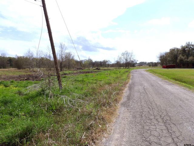 17 LOTS Hooks, Forehand, & McDuff Street, Crockett, TX 75835