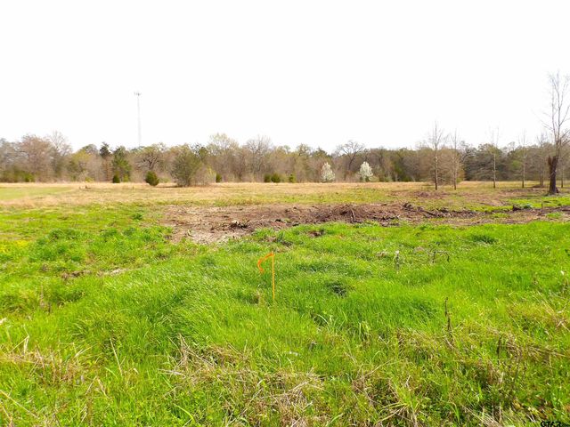 17 LOTS Hooks, Forehand, & McDuff Street, Crockett, TX 75835