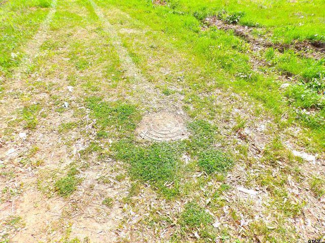 17 LOTS Hooks, Forehand, & McDuff Street, Crockett, TX 75835