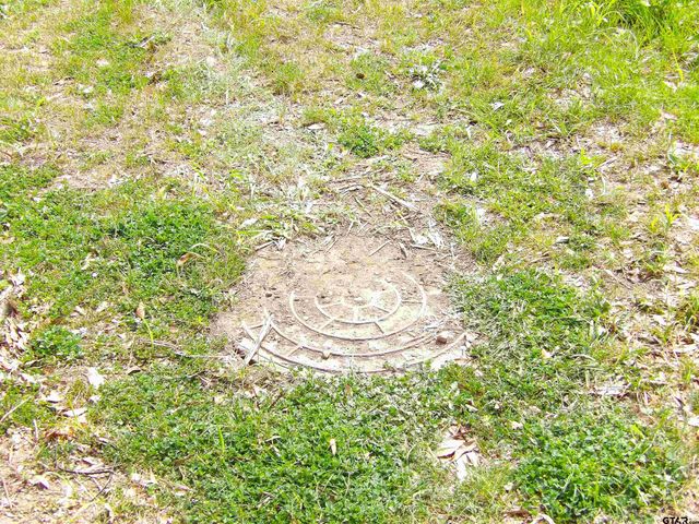 17 LOTS Hooks, Forehand, & McDuff Street, Crockett, TX 75835
