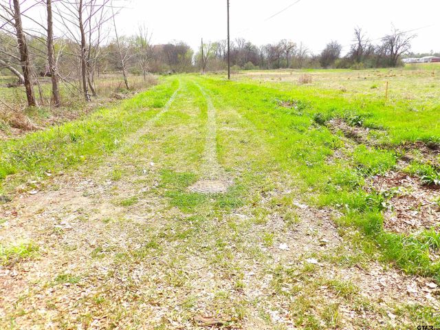 17 LOTS Hooks, Forehand, & McDuff Street, Crockett, TX 75835