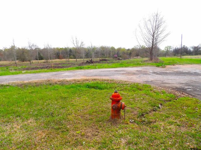 17 LOTS Hooks, Forehand, & McDuff Street, Crockett, TX 75835