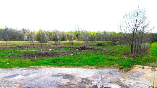 17 LOTS Hooks, Forehand, & McDuff Street, Crockett, TX 75835