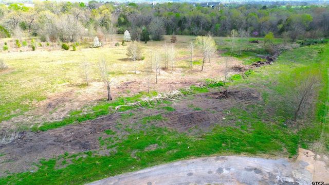 17 LOTS Hooks, Forehand, & McDuff Street, Crockett, TX 75835