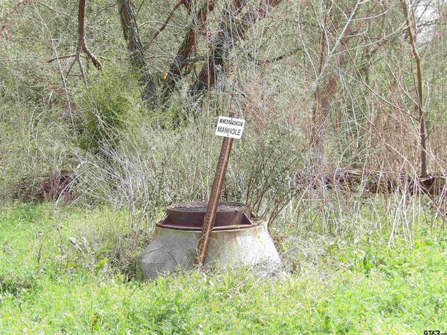 17 LOTS Hooks, Forehand, & McDuff Street, Crockett, TX 75835