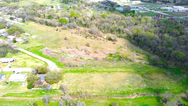 17 LOTS Hooks, Forehand, & McDuff Street, Crockett, TX 75835