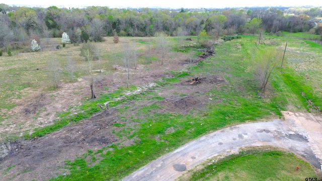 17 LOTS Hooks, Forehand, & McDuff Street, Crockett, TX 75835