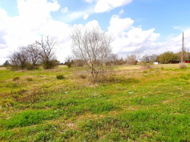 17 LOTS Hooks, Forehand, & McDuff Street, Crockett, TX 75835