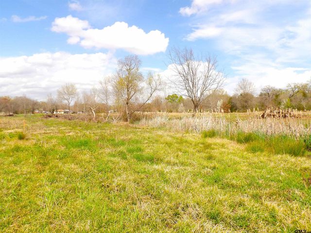 17 LOTS Hooks, Forehand, & McDuff Street, Crockett, TX 75835
