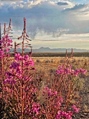 1624 Steel Creek Road, Wisdom, MT 59761