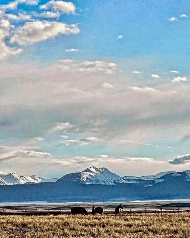 1624 Steel Creek Road, Wisdom, MT 59761