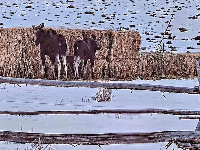 1624 Steel Creek Road, Wisdom, MT 59761