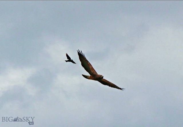 1624 Steel Creek Road, Wisdom, MT 59761