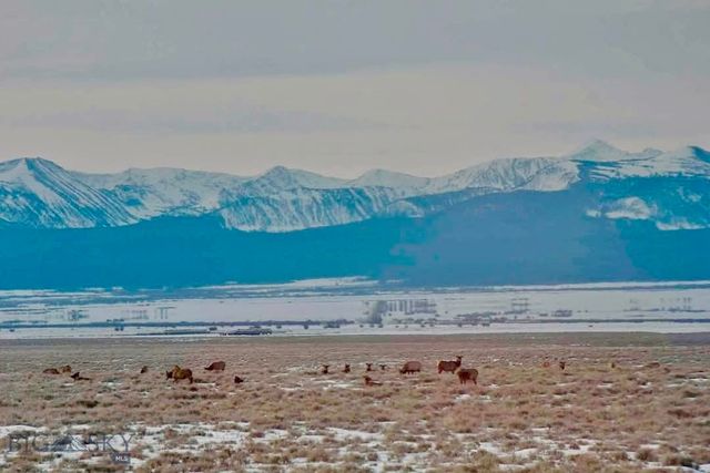 1624 Steel Creek Road, Wisdom, MT 59761