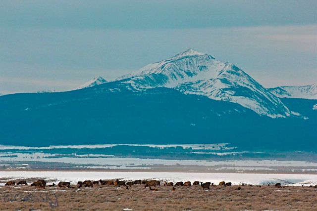 1624 Steel Creek Road, Wisdom, MT 59761