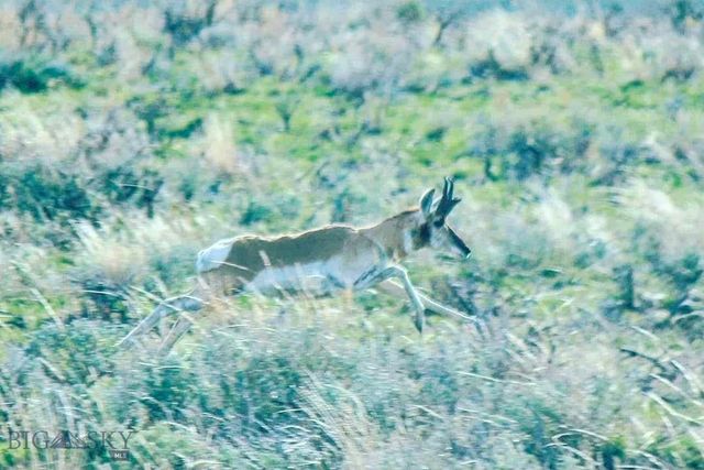 1624 Steel Creek Road, Wisdom, MT 59761