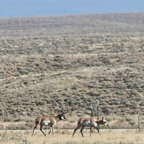 1624 Steel Creek Road, Wisdom, MT 59761