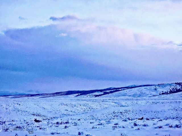 1624 Steel Creek Road, Wisdom, MT 59761