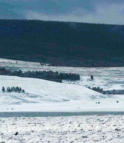 1624 Steel Creek Road, Wisdom, MT 59761
