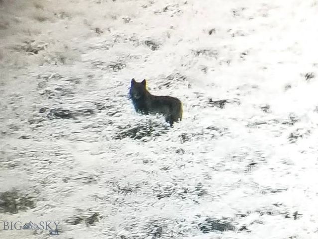 1624 Steel Creek Road, Wisdom, MT 59761